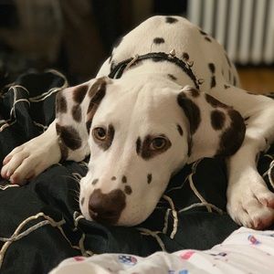 Meet your Posher, Emmanuel